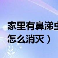 家里有鼻涕虫怎么消灭小妙招（家里有鼻涕虫怎么消灭）