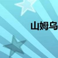 山姆乌冬面做法（乌冬面做法）