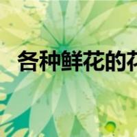 各种鲜花的花语和寓意（各种鲜花的花语）