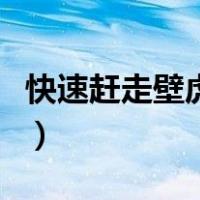 快速赶走壁虎的办法（如何快速安全赶走壁虎）