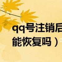 qq号注销后还能找回来吗?（qq号注销后还能恢复吗）