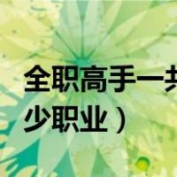 全职高手一共多少职业选手（全职高手一共多少职业）