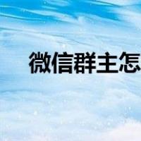 微信群主怎么看是谁（微信群主怎么看）