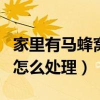 家里有马蜂窝怎么处理最安全（家里有马蜂窝怎么处理）