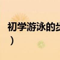 初学游泳的步骤有哪些（初学者学游泳的步骤）