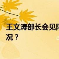 王文涛部长会见阿联酋总统中国事务特使哈勒敦 这是什么情况？