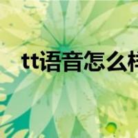 tt语音怎么样赚钱（tt语音怎么玩能赚钱）