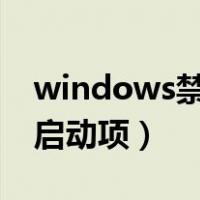 windows禁止开机启动项（win10禁止开机启动项）