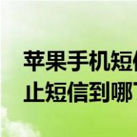 苹果手机短信发不出去怎么回事（iphone阻止短信到哪了）