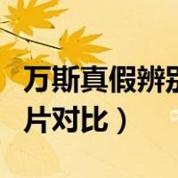万斯真假辨别图片对比高清（万斯真假辨别图片对比）