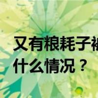 又有粮耗子被揪出！昔日搭档5年前落马 这是什么情况？