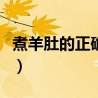 煮羊肚的正确方法与配料（煮羊肚的正确方法）