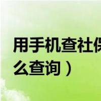 用手机查社保怎么查询医保（用手机查社保怎么查询）