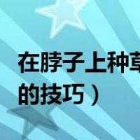 在脖子上种草莓有哪些技巧（在脖子上种草莓的技巧）