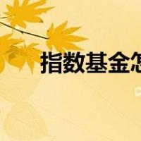指数基金怎么选股（指数基金怎么选）