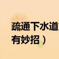 疏通下水道50元（厕所堵了怎么办疏通马桶有妙招）