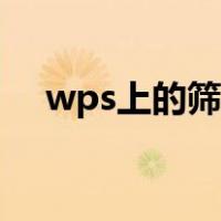 wps上的筛选怎么用（wps筛选怎么用）