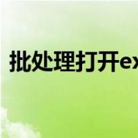 批处理打开exe文件（批处理文件怎么查看）