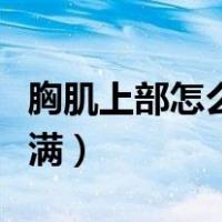 胸肌上部怎么练饱满徒手（胸肌上部怎么练饱满）
