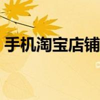 手机淘宝店铺装修软件（手机淘宝店铺装修）