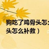狗吃了鸡骨头怎么补救三岁的泰迪吃了鸡骨头（狗吃了鸡骨头怎么补救）
