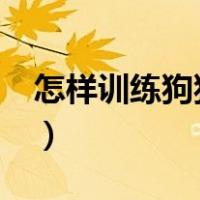 怎样训练狗狗大小便?（怎样训练狗狗大小便）
