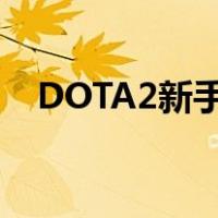 DOTA2新手入门技巧（dota2新手入门）