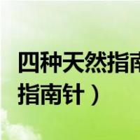 四种天然指南针是如何辨别方向的（四种天然指南针）