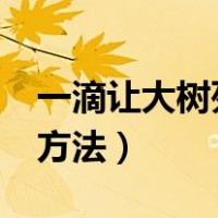 一滴让大树死掉 84消毒液（烂大树根最好的方法）