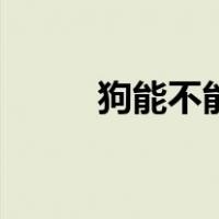 狗能不能吃虾滑（狗能不能吃虾）