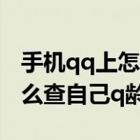 手机qq上怎么查自己q龄2020（手机qq上怎么查自己q龄）