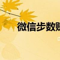 微信步数赚钱的方法（微信步数赚钱）