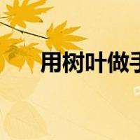 用树叶做手工小动物（用树叶做手工）