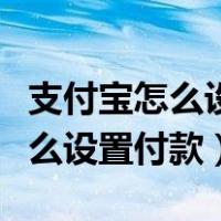 支付宝怎么设置付款方式先后顺序（支付宝怎么设置付款）