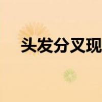 头发分叉现象（头发分叉最严重的照片）