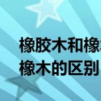 橡胶木和橡木的区别 哪个比较好（橡胶木和橡木的区别）