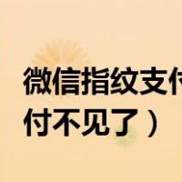 微信指纹支付突然没有了怎么办（微信指纹支付不见了）