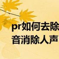 pr如何去除背景音乐保留人声（pr保留背景音消除人声）