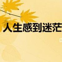 人生感到迷茫怎么办（生活感到迷茫怎么办）