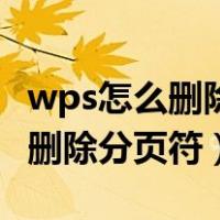wps怎么删除分页符造成的空白页（wps怎么删除分页符）