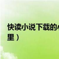 快读小说下载的小说在哪个文件夹（快读全本小说缓存在哪里）