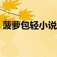 菠萝包轻小说官方网（菠萝包轻小说修改器）