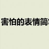 害怕的表情简笔画 生气（害怕的表情简笔画）