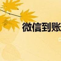 微信到账铃声下载（微信到账铃声）