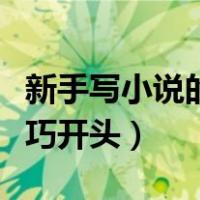 新手写小说的技巧开头例子（新手写小说的技巧开头）