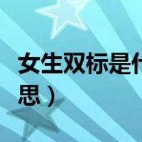 女生双标是什么意思举例（女生双标是什么意思）