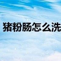 猪粉肠怎么洗才干净无异味（猪粉肠怎么洗）