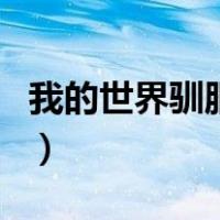 我的世界驯服马后控制不了（我的世界驯服马）