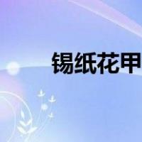 锡纸花甲做法窍门（锡纸花甲做法）