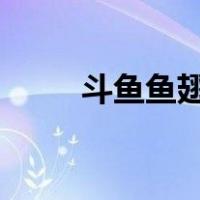 斗鱼鱼翅充值ios（斗鱼鱼翅充值）